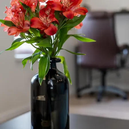 Vincent Urban Nest - Near Clinic, Arena And Stadium 公寓 *