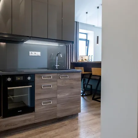 公寓 Vincent Urban Nest - Near Clinic, Arena And Stadium 考纳斯